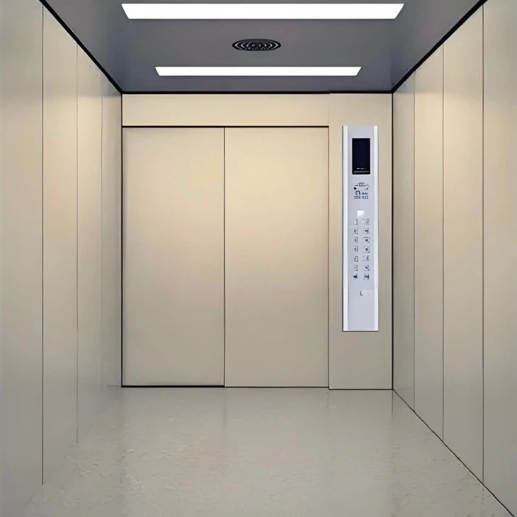 Shopping Mall Passenger Lift best